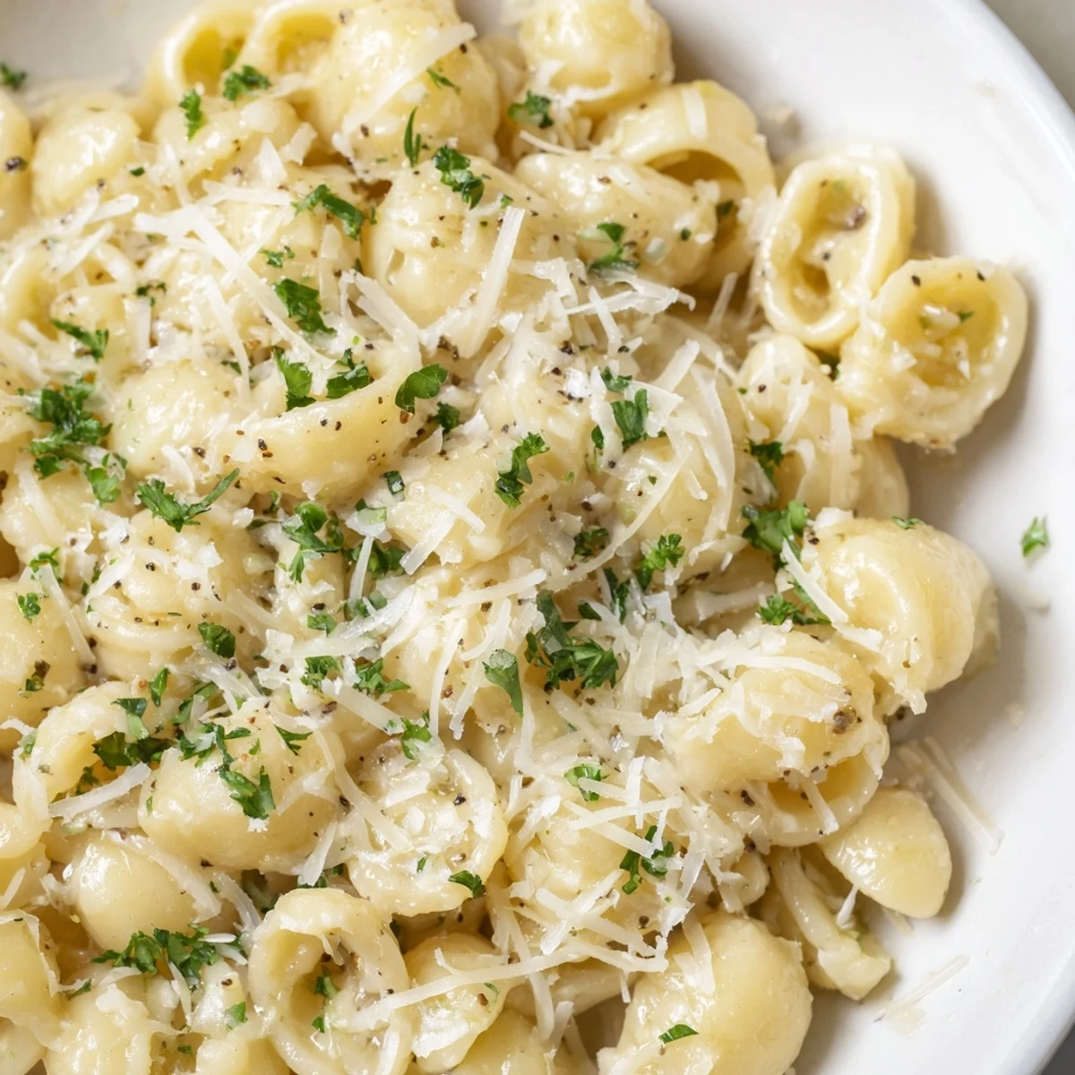 Golden, creamy One-Pot Garlic Butter Ditalini pasta, ready to serve with fresh parsley and Parmesan.